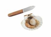 Нож для устриц 110/220 мм ручка дерево Tellier N4170