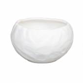 Cалатник 250 мл, d=10 см, White Moon Proff Cuisine ZA0041-4-FR Cалатник 250 мл, d=10 см, White Moon Proff Cuisine ZA0041-4-FR