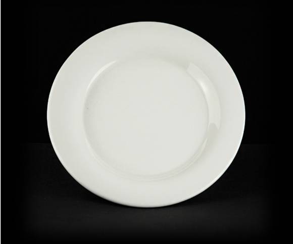 Тарелка мелкая 250мм с полями Sam and Squito (Classic) JXA389-03 фк809 Тарелка мелкая 250мм с полями Sam and Squito (Classic) JXA389-03 фк809