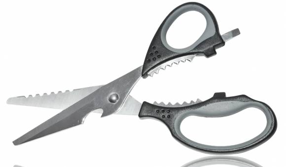 Ножницы кухонные Tojiro Gracelove 2 нерж., рукоять пластик FC-419 Ножницы кухонные Tojiro Gracelove 2 нерж., рукоять пластик FC-419