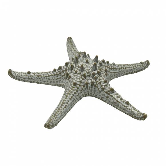 Блюдо "Звезда" 24 см,керамика "Frutti di Mare" P.L. QB23176002 Блюдо "Звезда" 24 см,керамика "Frutti di Mare" P.L. QB23176002