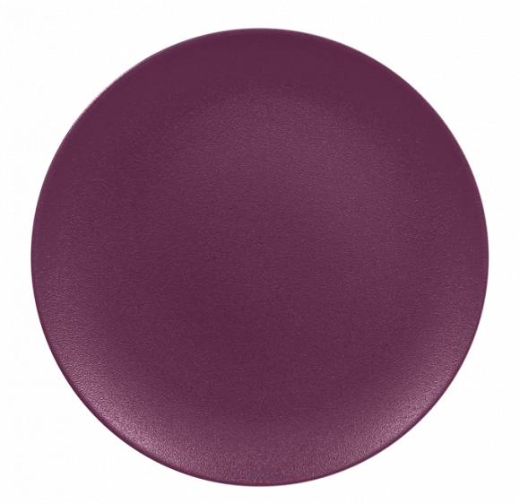 Тарелка плоская без полей 240мм RAK Porcelain Neo Fusion Mellow фарфор фиолетовый NFNNPR24PP /6/ Тарелка плоская без полей 240мм RAK Porcelain Neo Fusion Mellow фарфор фиолетовый NFNNPR24PP /6/