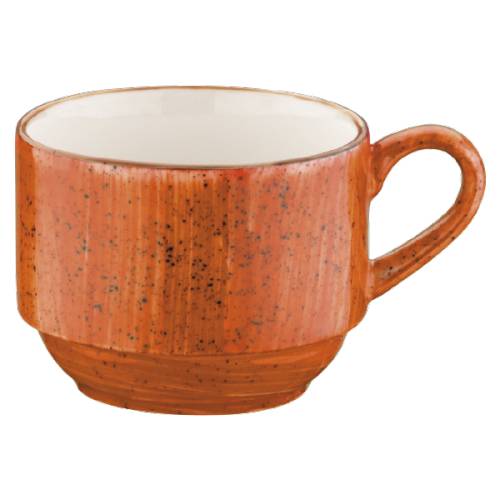 Чашка чайная 210мл фарфор Banquet Aura Terracota Bonna /6/ ATC BNC 01 CF Чашка чайная 210мл фарфор Banquet Aura Terracota Bonna /6/ ATC BNC 01 CF