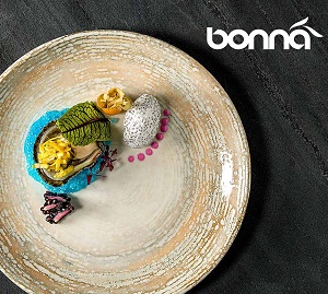 Фарфор Bonna линия Patera Envisio